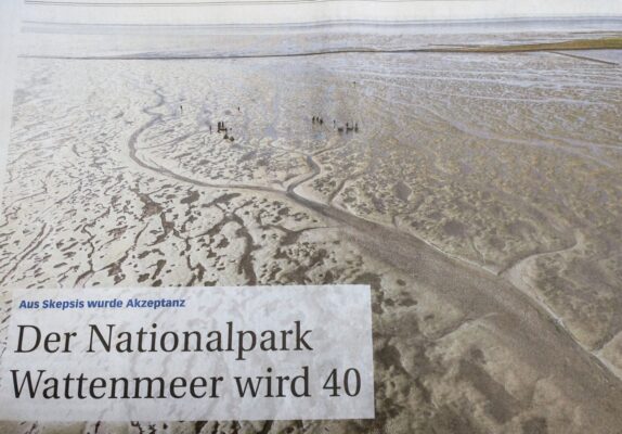 Wattenmeer