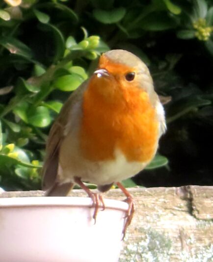 20240304110640_IMG_9041