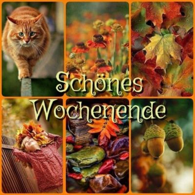 308794728_1277388149701323_2869750236969444812_n