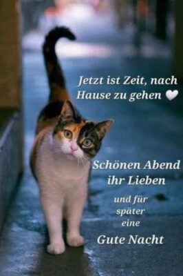 Gallery_1760462579359