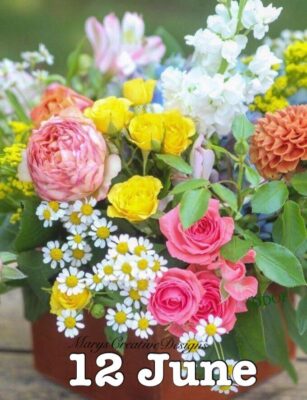 286221443_3219218838315911_2490863670602710801_n (2)