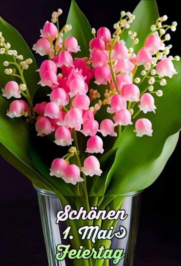 441049654_2139301753094842_4575918663660425663_n