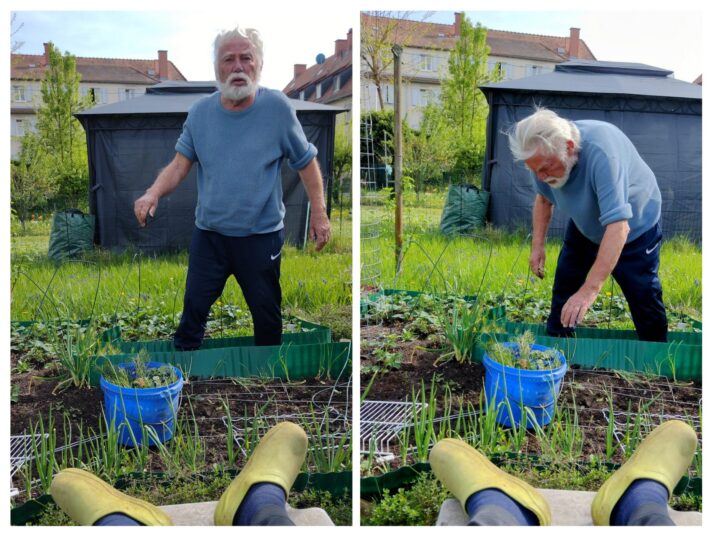 20250419_224101-COLLAGE