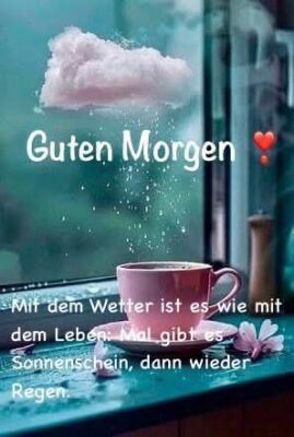 FB_IMG_1753947394344