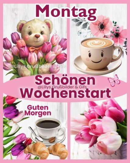 432012160_2110896975935320_5100038880179288838_n (1)