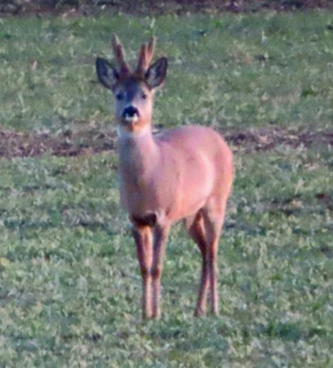 20230311171031_IMG_5585