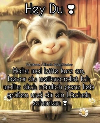 9bf319a73e0214ff252ef192550ee1c3