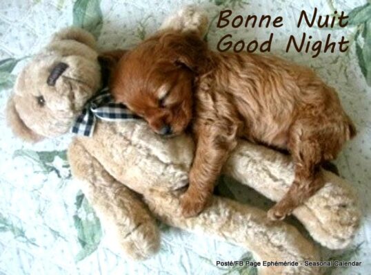 164402496_4072678672782198_9095133206388561597_n