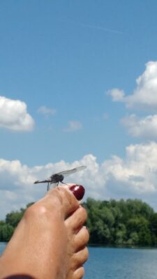 IMG_20180603_133123852