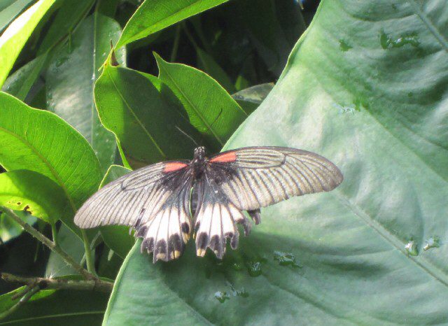 6AA5CC72-C0BD-404D-8466-8DF86AA85C70