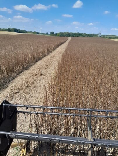 Screenshot_20250816_182731_Gallery