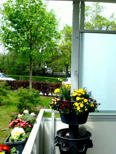 Es grünt und blüht Anfang Mai 2022.