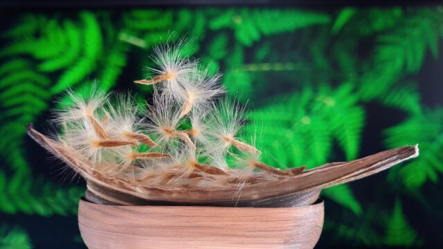 resized_20240309_164116d