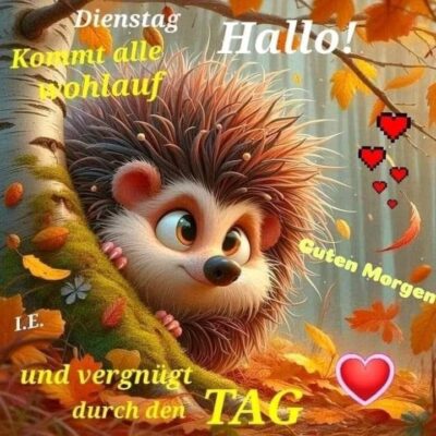 IMG_5989.JPG Dienstag