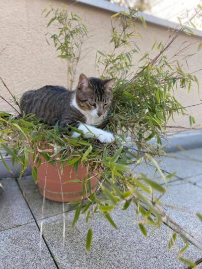 159428895_4085396604818524_8489901924222097002_n