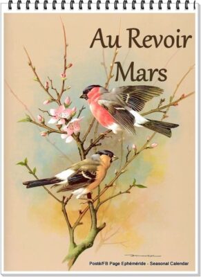 487313036_1099359768892991_8754664653790131423_n