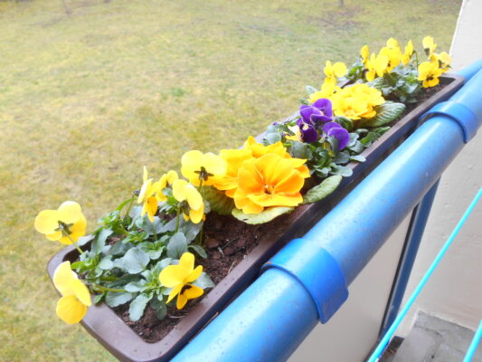 Ostern 2016 012