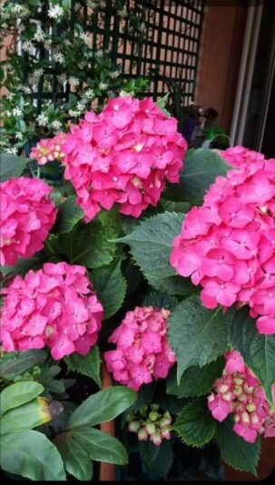 447693730_7142666385839868_2948150959678290260_n