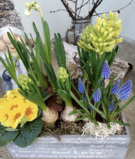 1625b14d-cd7c-4ad1-8912-206219820de2