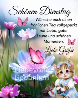 341854642_585132153365124_2004573758257017880_n (2)