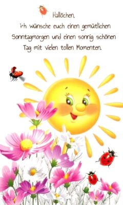 FB_IMG_1755406905142