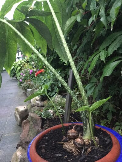 99B5401C-2820-42E7-B0CE-34881C0525C0