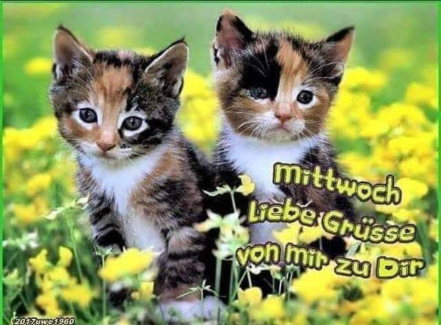 224803435_549074012798544_9011753141588677167_n (1)