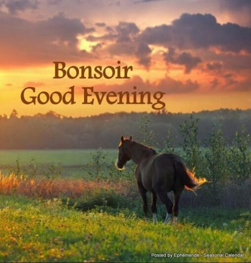 417687784_829226792572958_3309174531497977700_n