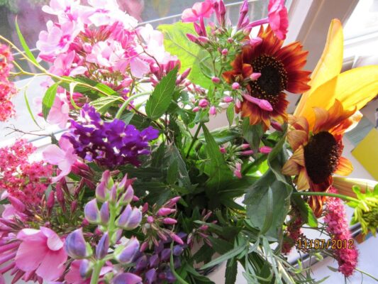 1075505_10200343407291681_1571355418_o