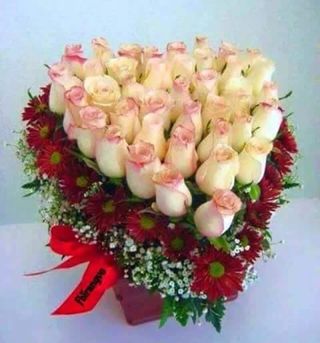 13533019_1171160119600749_7199962320708422541_n