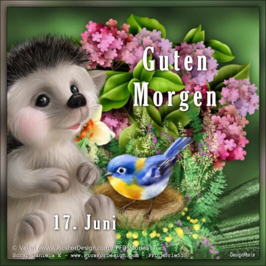 507998774_1478207490210555_7971986770754230624_n (2)