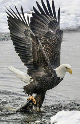 135655462_1130027170763240_2151108741270869098_n