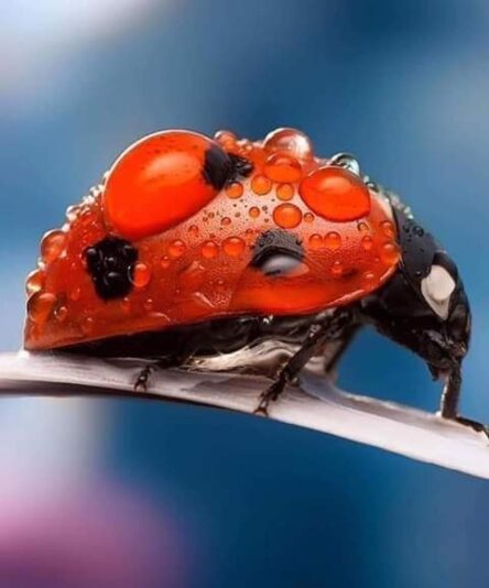 283876863_1407144896471149_4486872330609162602_n