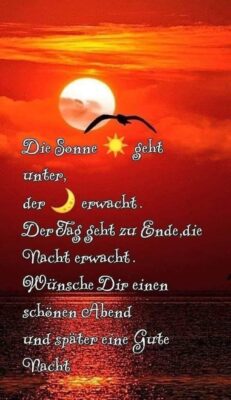 345463321_252093577309190_8402350888667335034_n