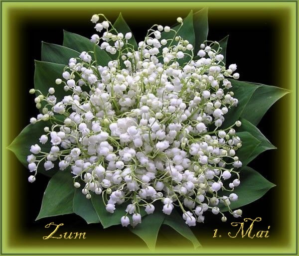 CFF70FBB-4C89-4DA2-A365-20593C092AA7