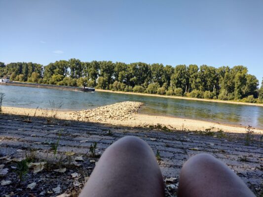 IMG_20220803_172311429_HDR