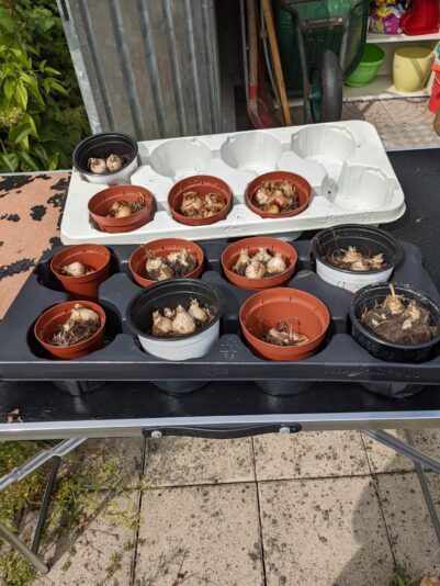 PXL_20220820_100803724