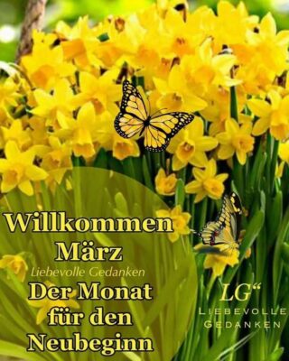 417509120_122146765748075063_1734642769919244437_n