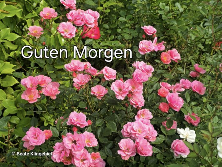 505894420_23913716311651395_2090286478610313670_n