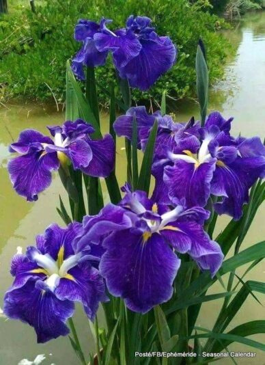 180560856_4187228544660543_4915398280498346886_n