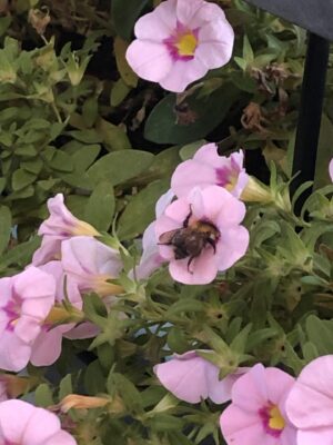 85F00F79-D2F5-45A6-B80D-3FA66750EB58