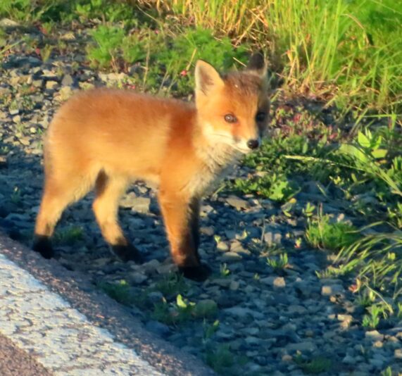 20230530181830_IMG_9109-1