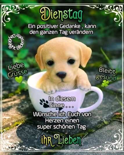 499bfe6a2d17fd66ff0ebd9770b36474 (1)