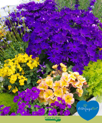 421948255_828248872438996_3355900111744714964_n