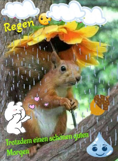 f0462b62e2ac225b214aa25faf5e53fd