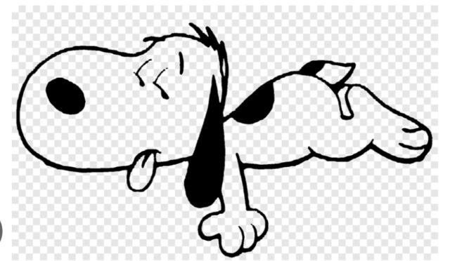 Gallery_1759644912349