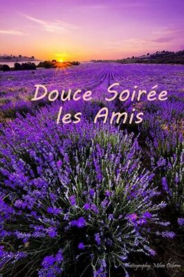 545163374_1227417446087222_8736301542846902904_n