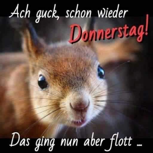 161789271_129825035810638_7804223069251144720_n.jpg DONNERSTAG