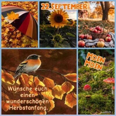 8ae50d40-c33a-4d88-bc48-fedc60ad3b8a