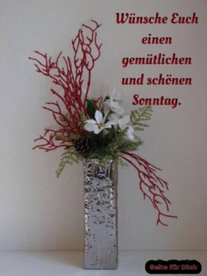 324406696_944745643174455_811792231032513446_n (2)